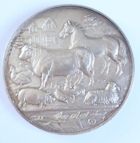 Agricultural medal champion - medal,