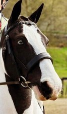 ✨✨SUPER SOFT ANATOMICAL