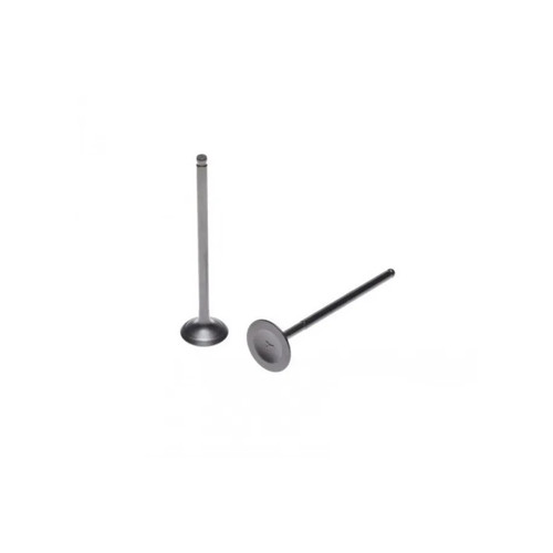 Exhaust valve cpl - cpl, suzuki
