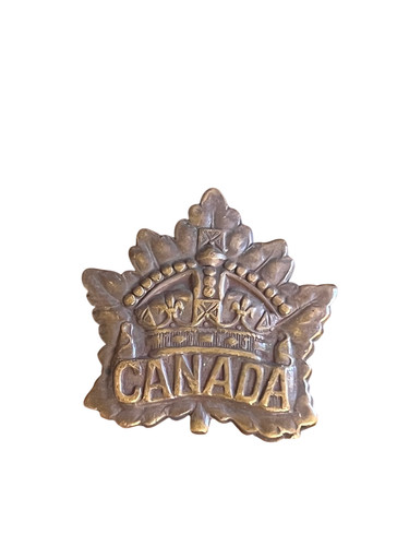 Wwi canadian expeditionary - wwi,