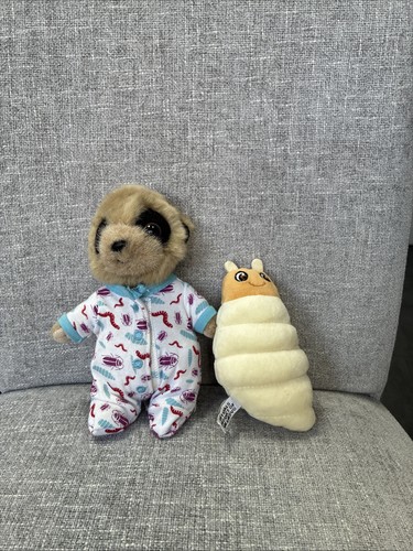 Baby oleg meerkat - meerkat, with