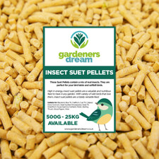 GardenersDream Insect Suet Pellets - High Energy Feed Wild Bird Garden Food