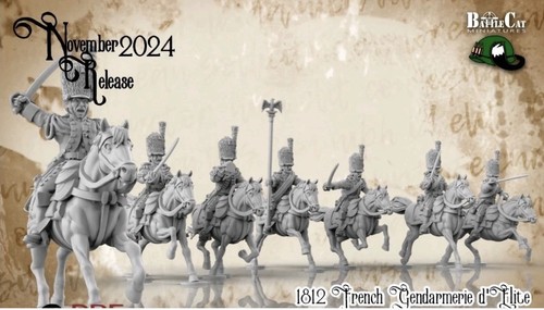 28mm wargaming napoleonic - wargaming,