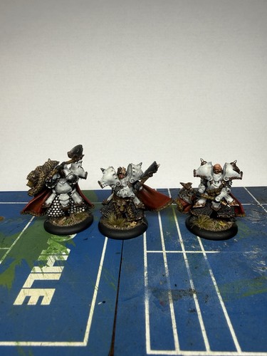 Warmachine khador great bears - great,