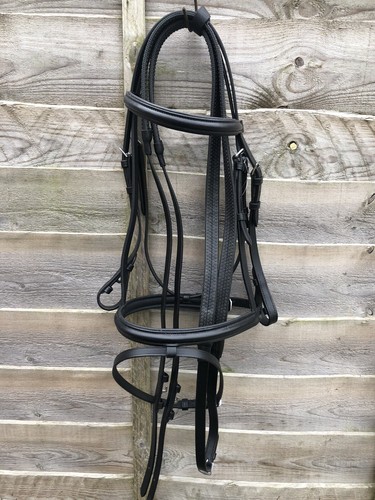 New padded flash bridle - padded, with