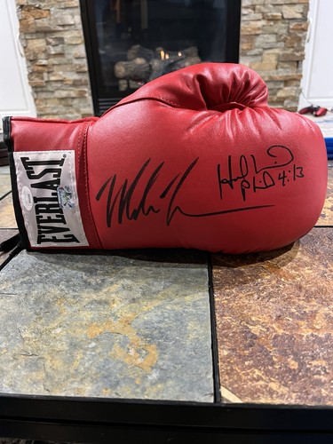 Everlast boxing glove - boxing, mike
