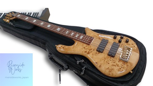 Spector string bass euro5 - spector,