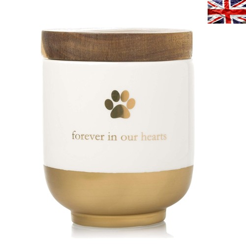 Compact gold ceramic - compact, urn