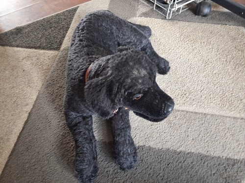 Steiff black labrador lumpy - steiff,