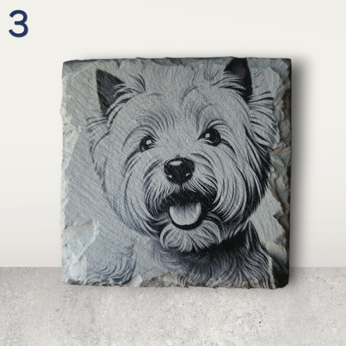 West highland terrier - west,