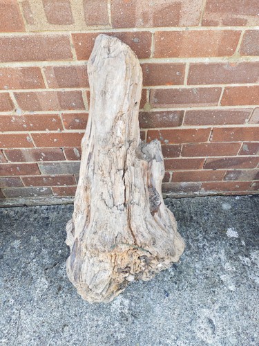 Xxl aquarium bogwood - aquarium,