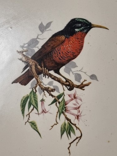 Vintage large carlton ware - large,
