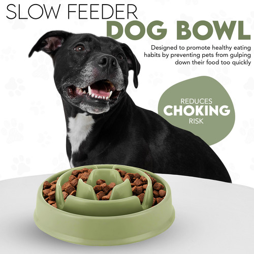Slow feeder dog bowl - dog, puppy