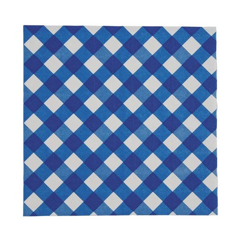 Fun express blue gingham - fun,