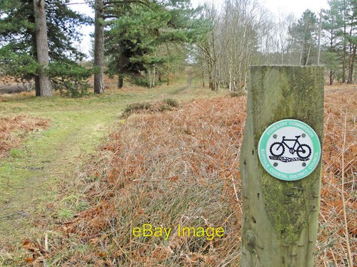 Photo 6x4 mountain bike trail - mountain,