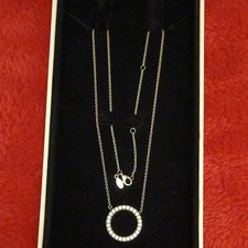 (1478) Pandora Silver Ale S925