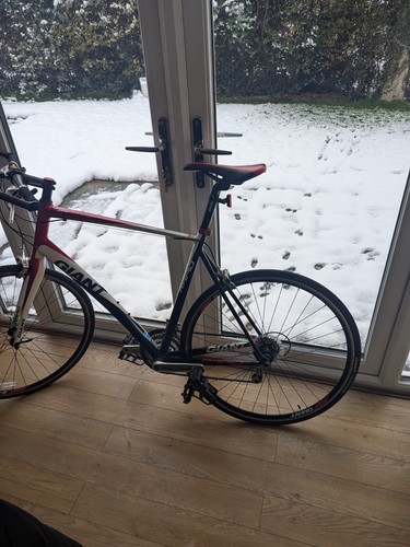 Giant rapid road bike - giant,