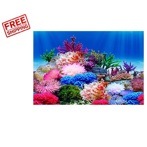Vibrant coral and plant - vibrant,