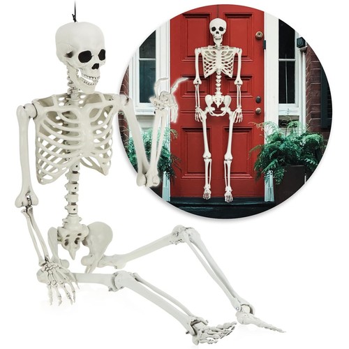 Human skeleton full life size - life,