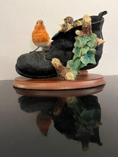Robin with Chicks in Boot 