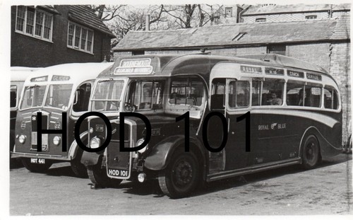 Royal blue 1238 hod101 bristol - royal,