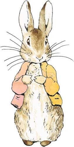 Peter rabbit watercolour wall - peter,