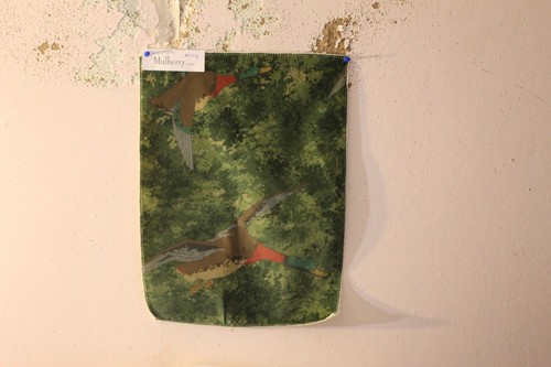 Mulberry home forest ducks - forest, on