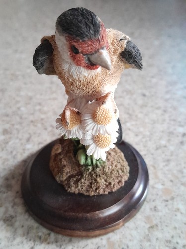Country artist goldfinch - country,