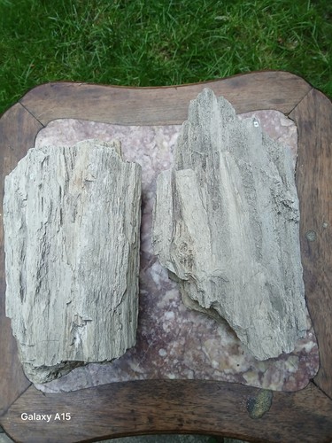 Two substantial pieces - two, of