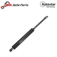 AutoStar Germany Bonnet Strut