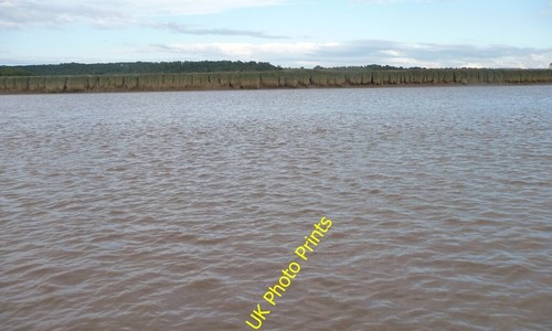 Photo 6x4 reeds the - reeds, on