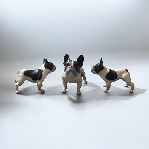Miniature french bulldog - french,
