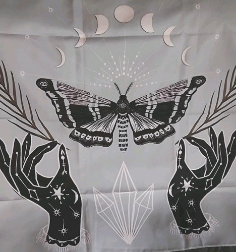 Altar cloth moth - cloth, silky