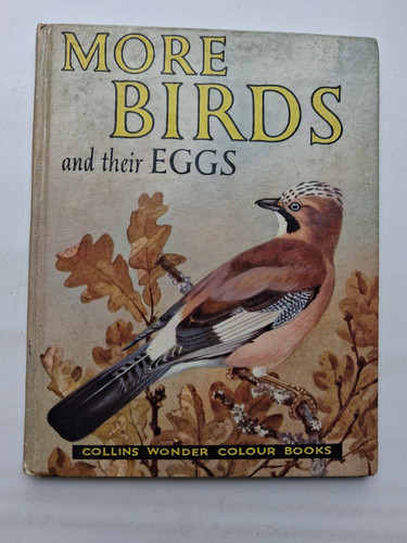 Birds and their eggs - their,