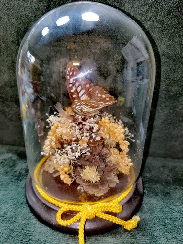 Vintage 1970 taxidermy - vintage,