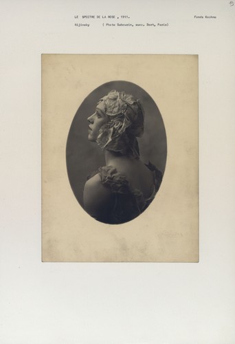Vaslav nijinsky spectre - vaslav,