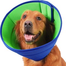 Pet Recovery Lightweight Dog