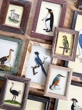 Bird Reverse Glass Paintings