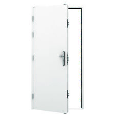 Steel Security Door with 19