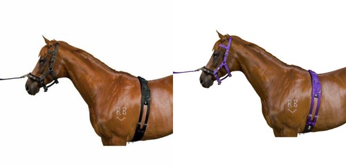 Weatherbeeta kincade piece - kincade, 4