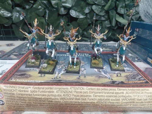 Sisters the thorn wild - of,