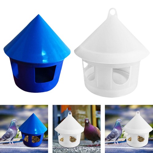 Pigeon water dispenser bird - pigeon,