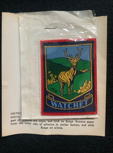Vintage cloth badge from - vintage,