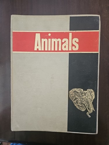 Purnell animals folder - animals, june