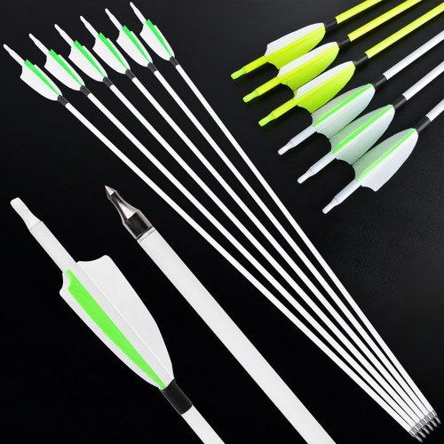 Archery carbon arrows - 30'',