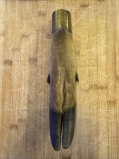 1923 Quantock Staghounds Stag