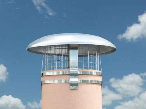 Chimney cap with bird - chimney,