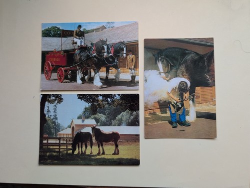 Courage brewery shire horses - courage,