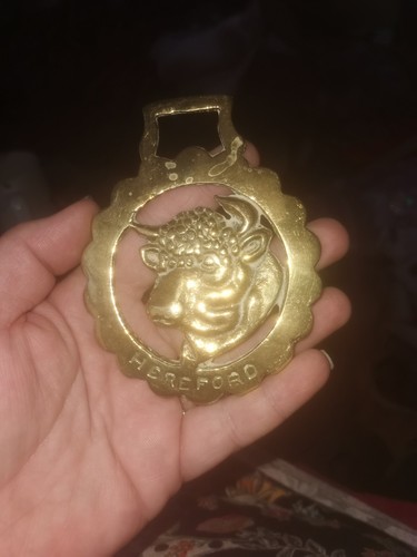 Vintage horse brass hereford - vintage,