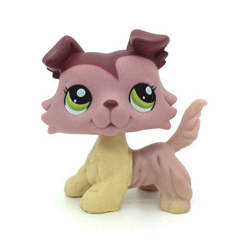 1723 littlest pet shop - shop, collie